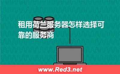 租用荷兰服务器怎样选择可靠的服务商