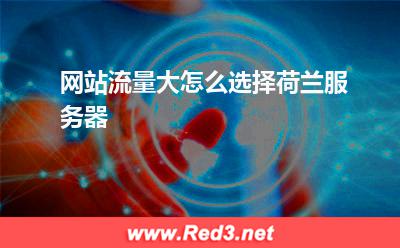 网站流量大怎么选择荷兰服务器