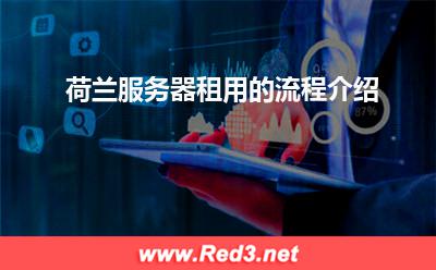 荷兰服务器租用的流程介绍