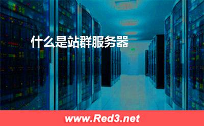 什么是站群服务器