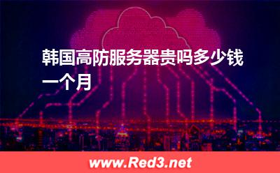 韩国高防服务器贵吗,多少钱一个月