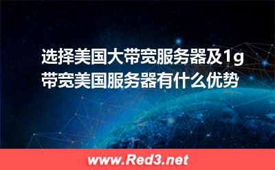 美国大带宽服务器 1g带宽美国服务器优点
