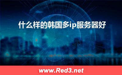什么样的韩国多ip服务器好 服务器韩国