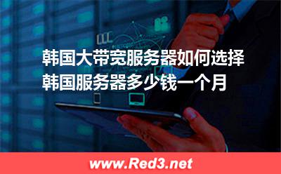 韩国大带宽服务器多少钱一个月