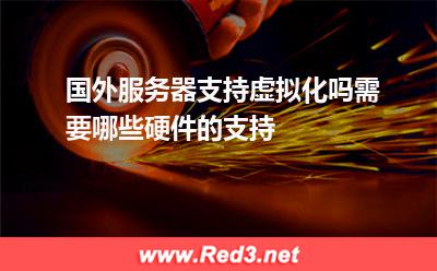 国外服务器支持虚拟化吗需要哪些硬件的支持