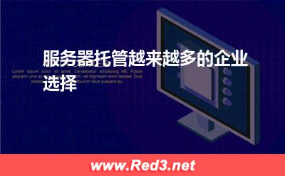 服务器托管越来越多的企业选择
