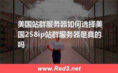 美国站群服务器如何选择