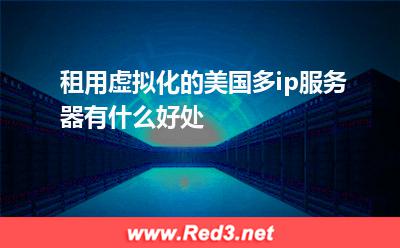 租用虚拟化的美国多ip服务器有什么好处