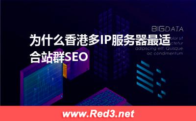 为什么香港多IP服务器最适合站群SEO