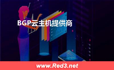 BGP云主机提供商 路由协议