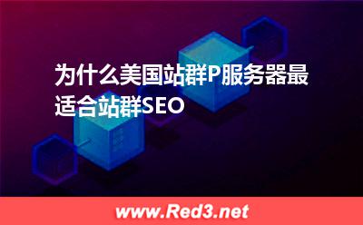 为什么美国站群P服务器最适合站群SEO 美国您的