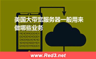 美国大带宽服务器一般用来做哪些业务