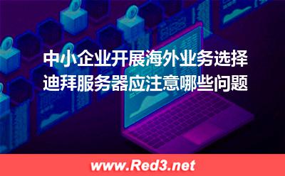 开展海外业务租用迪拜服务器怎么样