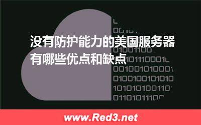 没有防护能力的美国服务器有哪些优点和缺点