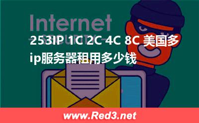 253IP 1C 2C 4C 8C 美国多ip服务器租用多少钱 美国服务器