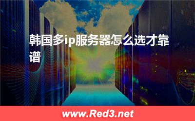 韩国多ip服务器怎么选才靠谱