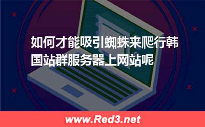 如何才能吸引蜘蛛来爬行韩国站群服务器上网站呢 客服韩国