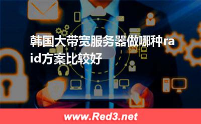 韩国大带宽服务器做哪种raid方案比较好