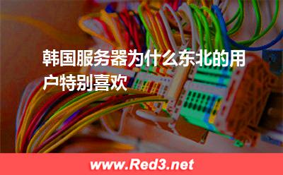 韩国服务器为什么东北的用户特别喜欢
