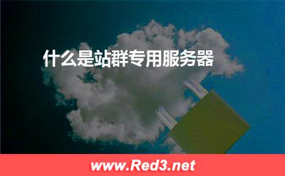 什么是站群专用服务器