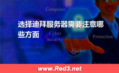 选择迪拜服务器需要注意哪些方面