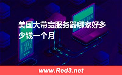 美国大带宽服务器哪家好,多少钱一个月