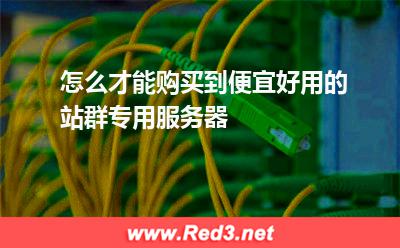 怎么才能购买到便宜好用的站群专用服务器