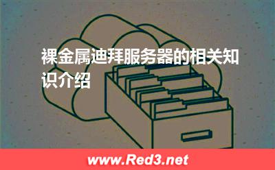 裸金属迪拜服务器的相关知识介绍