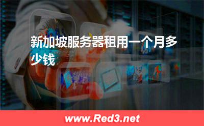 新加坡服务器租用一个月多少钱