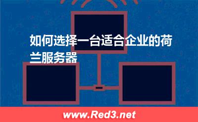 如何选择一台适合企业的荷兰服务器