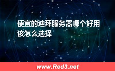 便宜的迪拜服务器哪个好用该怎么选择