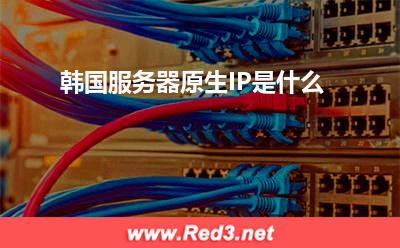 韩国服务器原生IP是什么 韩国广播