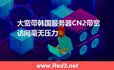 大宽带韩国服务器CN2带宽,访问毫无压力