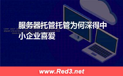 服务器托管托管为何深得中小企业喜爱