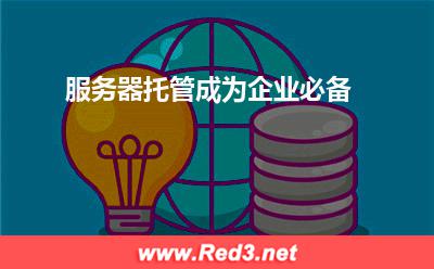 服务器托管成为企业必备