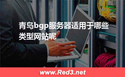 青岛bgp服务器适用于哪些类型网站呢
