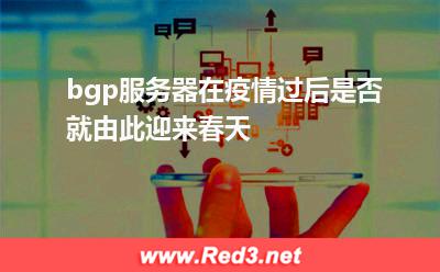 bgp服务器在疫情过后是否就由此迎来春天