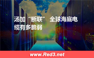汤加“断联” 全球海底电缆有多脆弱(电缆汤加) 海底电缆,全球海底电缆
