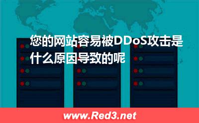 您的网站容易被DDoS攻击是什么原因导致的呢