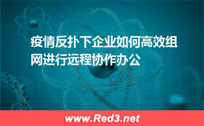 企业如何高效组网