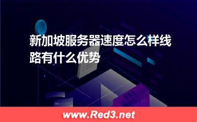 新加坡服务器速度怎么样,线路有什么优势