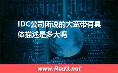 IDC公司所说的大宽带有具体描述是多大吗