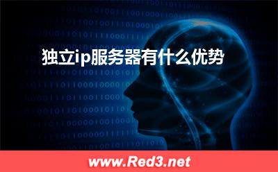 独立ip服务器有什么优势