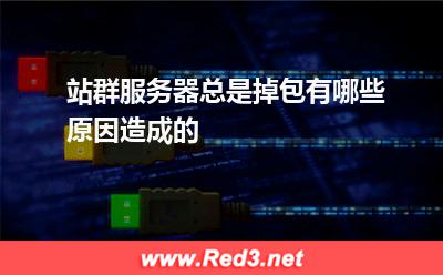 站群服务器总是掉包有哪些原因造成的