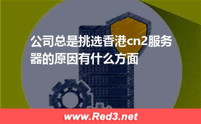 公司总是挑选香港cn2服务器的原因有什么方面