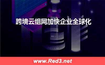 跨境云组网,加快企业全球化(企业跨境)