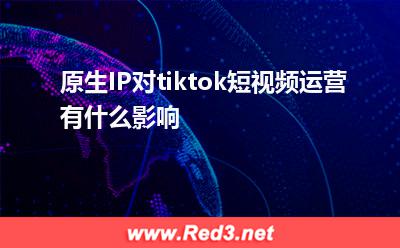 原生IP对tiktok短视频运营有什么影响