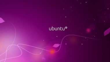 ubuntu安装mysql数据库的详细教程