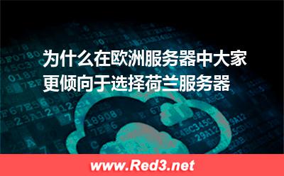 欧洲服务器租用 荷兰服务器租用