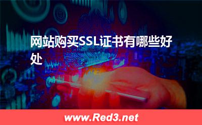 SSL证书:网站购买SSL证书有哪些好处? SSL证书